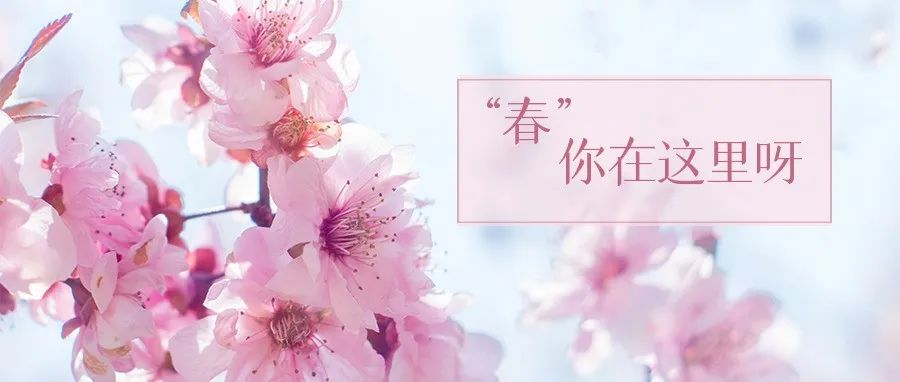 原来,“春”女神在这里!
